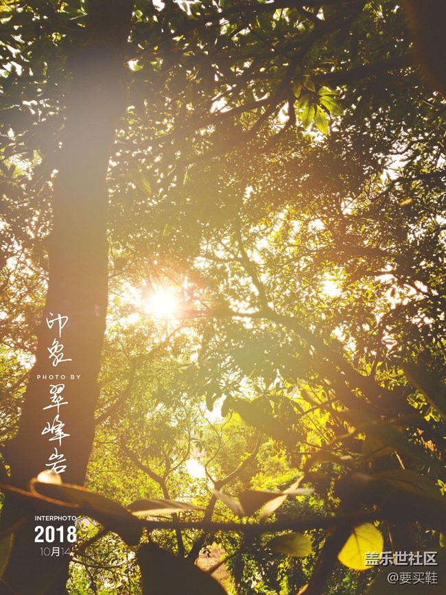 關(guān)于3月1號(hào)定的10+機(jī)器