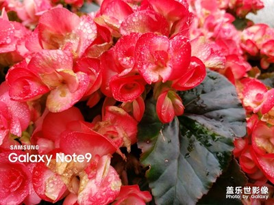 三星note9風(fēng)景