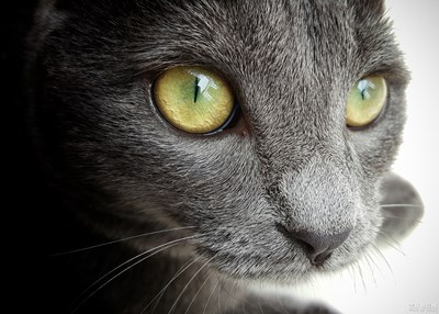 【雜拍 ● 告別S7edge】