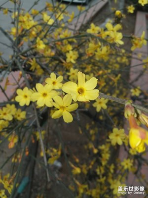 春暖花開(kāi)