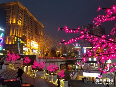 【魅夜】+夜長沙