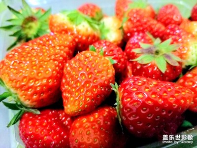 到了吃草莓??的季節(jié)