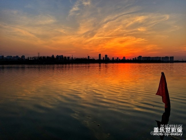 【每周精帖匯137】總裁也來參與Galaxy S10首銷活動(dòng)啦