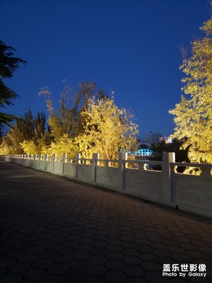 夏天的晚風(fēng)