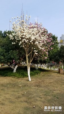 隨手抓拍，來(lái)幾張