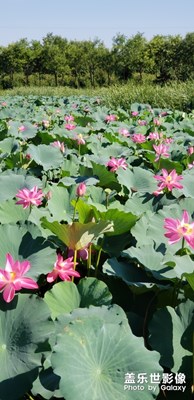 最愛的家鄉(xiāng)遷安