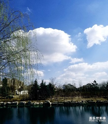 春天到了,柳樹(shù)綻綠了