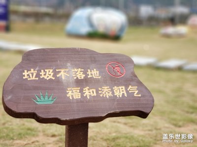 隨手拍-虛化之美