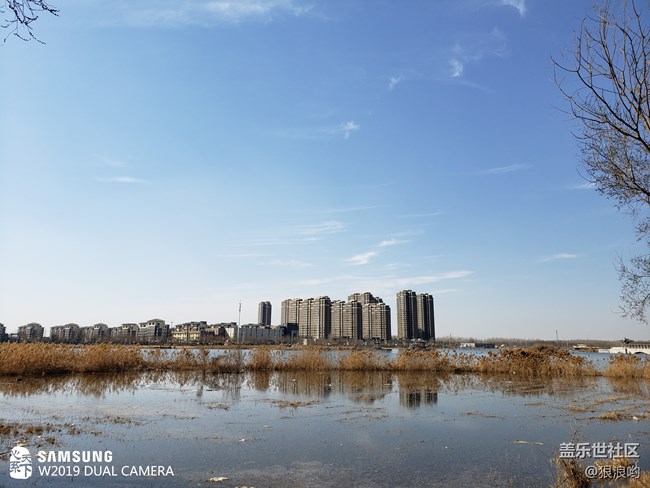 心系天下三星W2019：開(kāi)闔之間，風(fēng)范盡顯