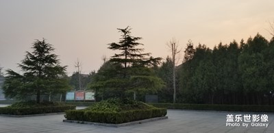 公園隨手拍