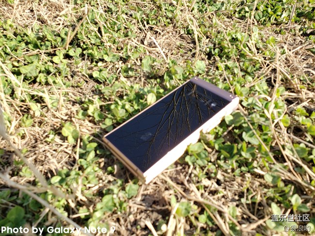 心系天下三星W2019：開(kāi)闔之間，風(fēng)范盡顯