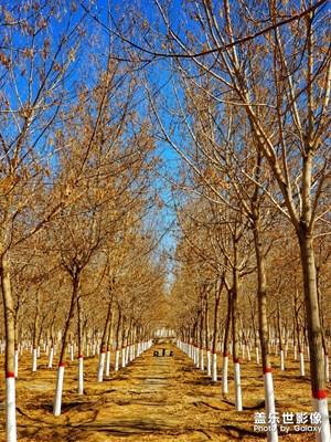 【時光】+似水流年