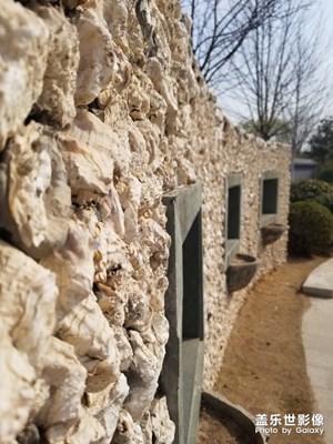 【踏春】+綠博園拍拍拍