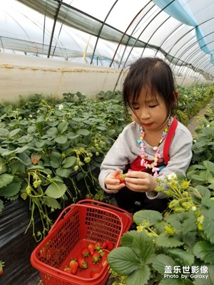 【踏春】+ 隨拍