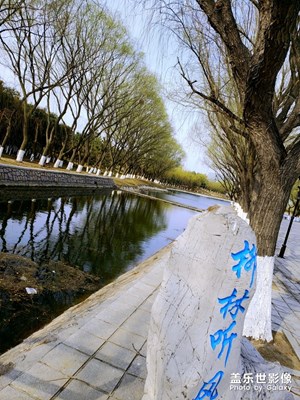 踏春＋我的大學(xué)，