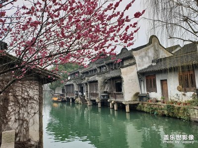 【踏春】+春暖花開(kāi)