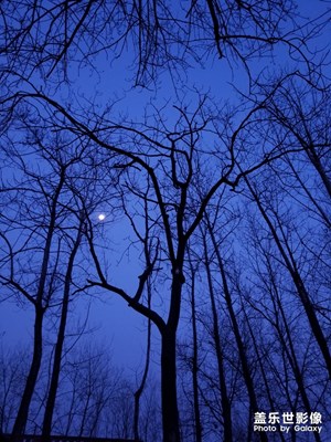 月夜