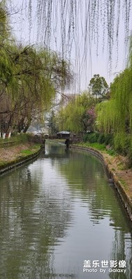 春天無限美