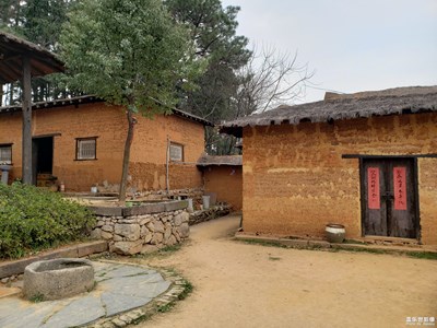 【踏春】杏花園隨手拍