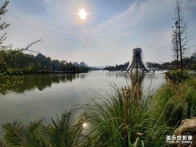 悠閑的下午，享受陽(yáng)光的洗禮