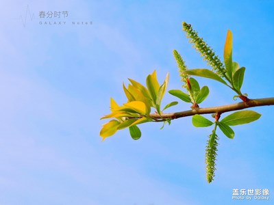 春分時(shí)節(jié)