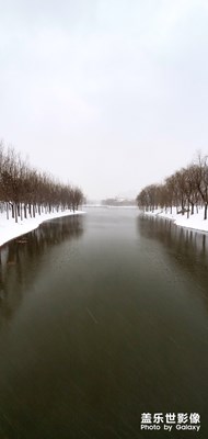 今天春分 大長春下雪啦  還在不停地下…