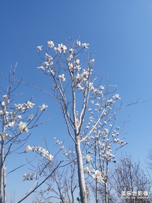 【踏春】+隨便走走，莫負(fù)春光