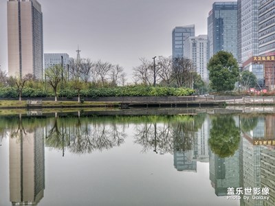 【踏春】+家附近的小公園