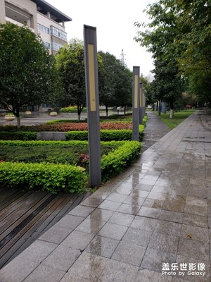 【踏春】畢設路上的校園風光