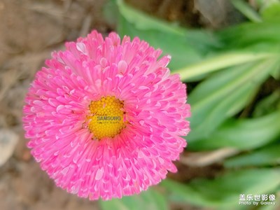 不老的經(jīng)典 永遠(yuǎn)的旗艦