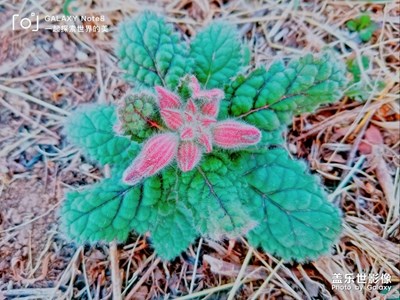 【風光之美】+美途