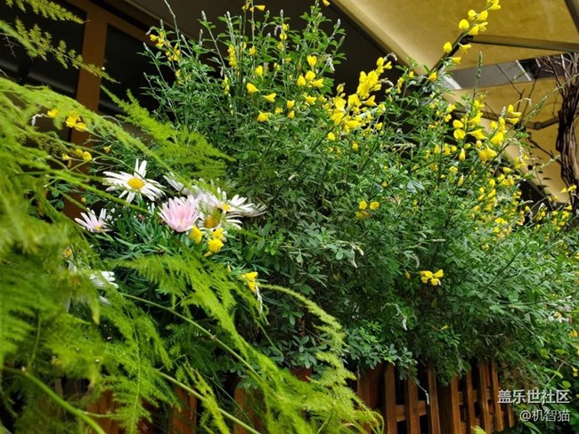 三星Galaxy S10+深度體驗：足以證明三星回歸中國市場的野心