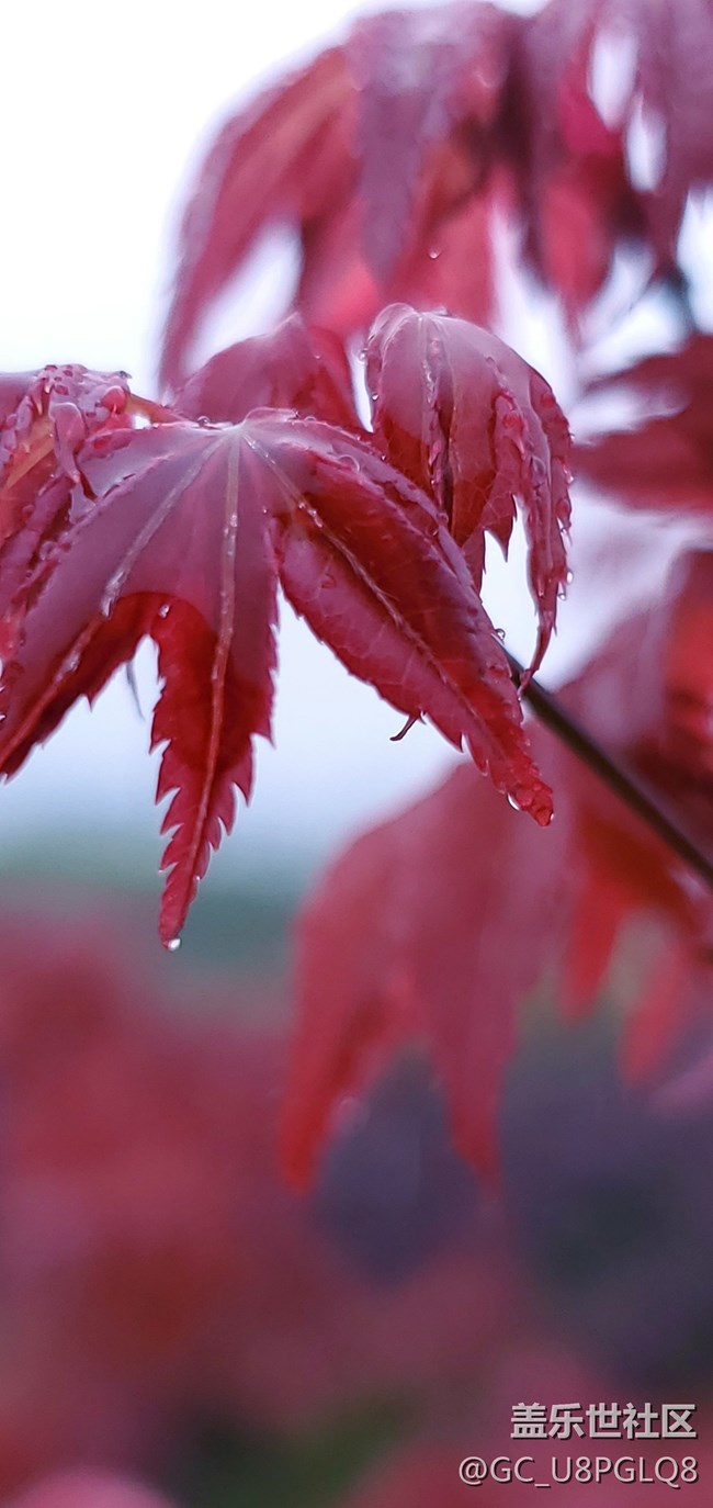 講照相清楚的進來看看，相片說話