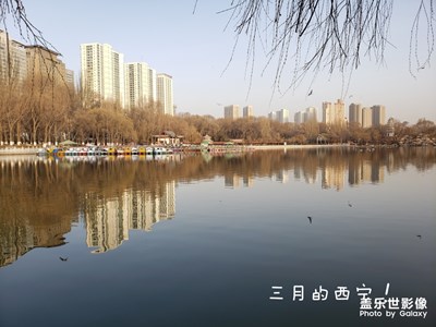 三月的西寧