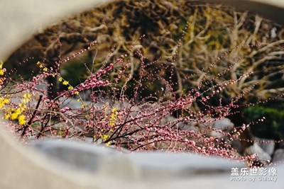 【風(fēng)光之美】+釣魚(yú)路上的美景