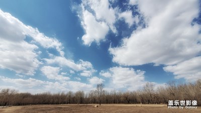 【風光之美】+ 一年之計在于春