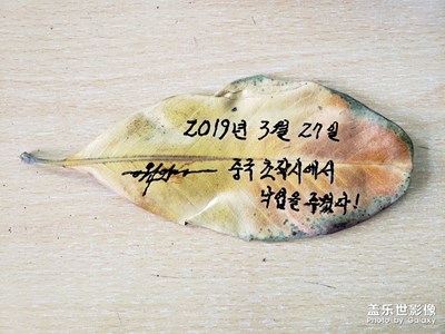 幾年后。。。!