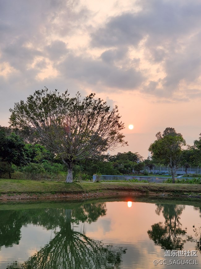 三星S10 +, 超美拍照