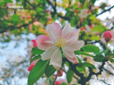 2019櫻你而來(lái)