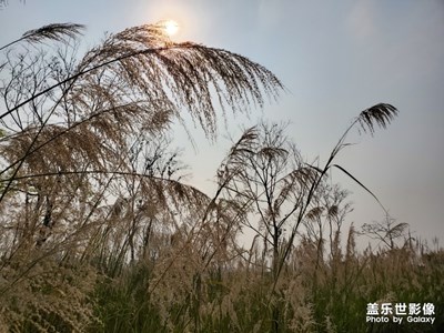 入手半個(gè)月了，帶出來(lái)溜溜