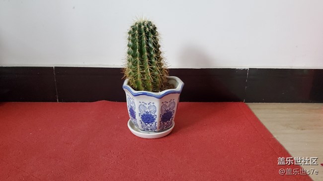 S10拍照翻車(chē)有多嚴(yán)重 想知道的請(qǐng)進(jìn)S10+成像完全被Note8壓制