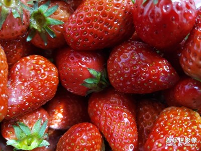 草莓??