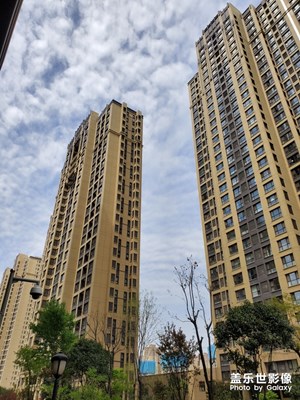 S10+超廣角真震撼