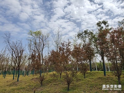 【風(fēng)光之美】+周末s10+隨拍