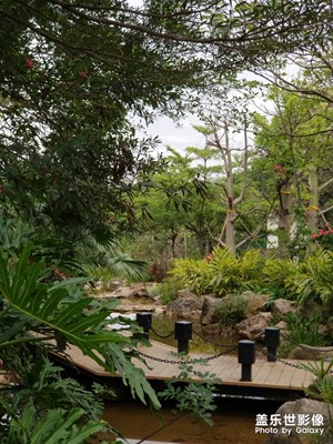 【風(fēng)光之美】+城市公園