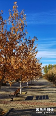 【風光之美】+生活中的風景