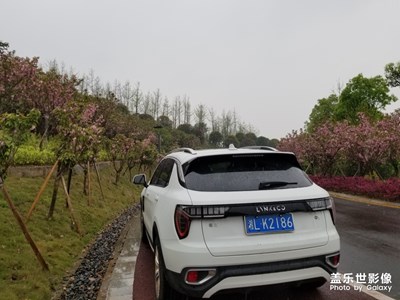 隨便拍拍，看書