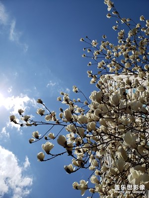 首爾風(fēng)景-我家附近的風(fēng)景
