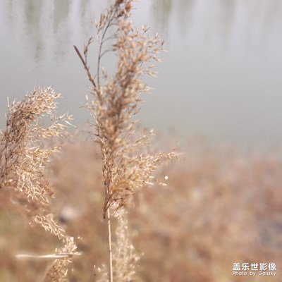 把夏天的信寄給你