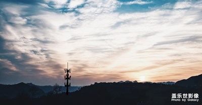 隨手拍